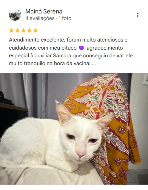 Avaliação real de tutor no Google