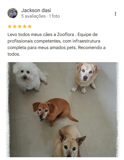 Avaliação real de tutor no Google