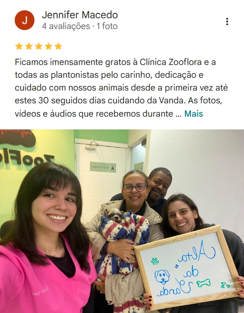 Avaliação real de tutor no Google