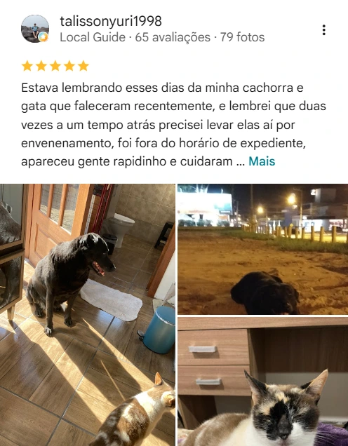 Avaliação real de tutor no Google